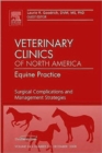 Image for Surgical complications and management strategies  : an issue of Veterinary clinics, equine practice