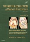 Image for The Netter collection of medical illustrationsVolume 6,: Part 3