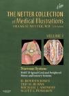 Image for The Netter collection of medical illustrationsVolume 7,: Part 2