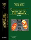 Image for Pocket Companion to Brenner and Rector&#39;s The Kidney