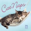 Image for CAT NAPS W