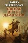 Image for Bridge Of The Seperator