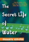 Image for The Secret Life of Water