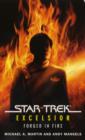 Image for Star Trek: The Original Series: Excelsior: Forged in Fire