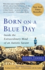 Image for Born On A Blue Day : Inside the Extraordinary Mind of an Autistic Savant