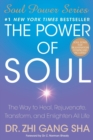 Image for The Power of Soul : The Way to Heal, Rejuvenate, Transform, and Enlighten All Life