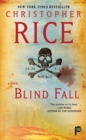 Image for Blind Fall: A Novel