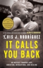 Image for It Calls You Back : An Odyssey through Love, Addiction, Revolutions, and Healing