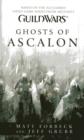 Image for Guild Wars : Ghosts of Ascalon