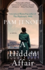 Image for Hidden Affair: A Novel