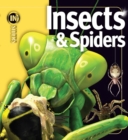 Image for Insects &amp; Spiders