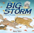 Image for The Big Storm : A Very Soggy Counting Book