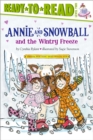 Image for Annie and Snowball and the Wintry Freeze : Ready-to-Read Level 2