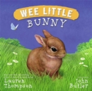 Image for Wee Little Bunny