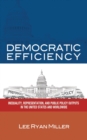 Image for Democratic Efficiency : Inequality, Representation, and Public Policy Outputs in the United States and Worldwide
