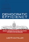 Image for Democratic Efficiency: Inequality, Representation, and Public Policy Outputs in the United States and Worldwide