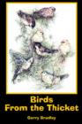 Image for Birds From the Thicket