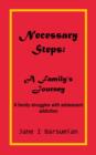 Image for Necessary Steps : A Family&#39;s Journey: A Family Struggles with Adolescent Addiction