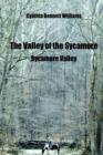 Image for The Valley of the Sycamore : Sycamore Valley