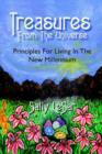 Image for Treasures from the Universe : Principles for Living in the New Millennium