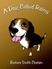 Image for A Dog Called Rainy