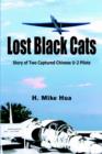 Image for Lost Black Cats