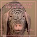 Image for Extraordinary Pigs 2013 Wall Calendar