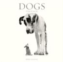 Image for Dogs 2013 Wall Calendar