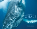 Image for Beautiful whale