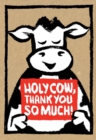 Image for Holy Cow: Thank You So Much! (Thank You Cards)