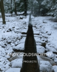 Image for Andy Goldsworthy - projects
