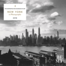 Image for New York in Photographs 2018 Mini Wall Calendar