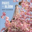 Image for Paris in Bloom 2019 Wall Calendar