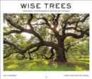 Image for Wise Trees 2019 Wall Calendar : Remarkable Living Monuments from Around the World