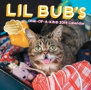 Image for Lil Bub&#39;s One-of-a-Kind 2019 Wall Calendar