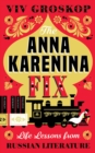 Image for The Anna Karenina Fix : Life Lessons from Russian Literature