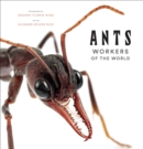 Image for Ants  : workers of the world