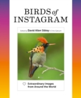Image for Birds of Instagram