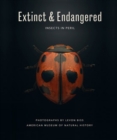 Image for Extinct &amp; endangered  : insects in peril