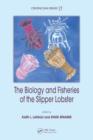Image for The biology and fisheries of the slipper lobster