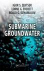 Image for Submarine groundwater