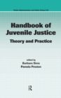 Image for Handbook of juvenile justice: theory and practice
