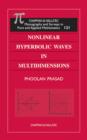 Image for Nonlinear hyperbolic waves in multi-dimensions
