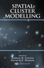 Image for Spatial cluster modelling