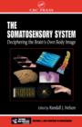 Image for The somatosensory system: deciphering the brain&#39;s own body image