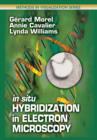 Image for In situ hybridization in electron microscopy