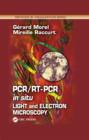 Image for PCR/RT-PCR in situ light and electron microscopy