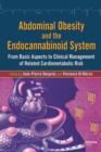 Image for Abdominal obesity and the endocannabinoid system: from basic aspects to clinical management of related cardiometabolic risk