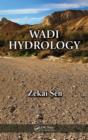 Image for Wadi hydrology