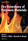 Image for Fire Retardancy of Polymeric Materials